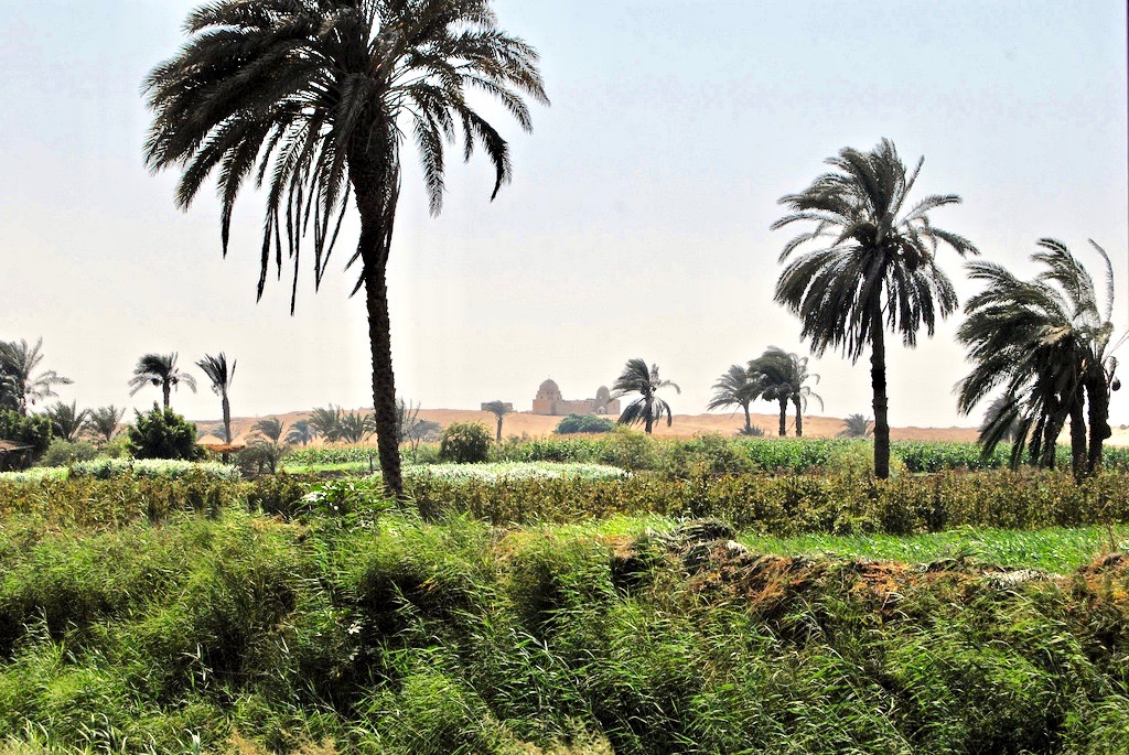 مواقيت الصلاة في الفيوم اليوم