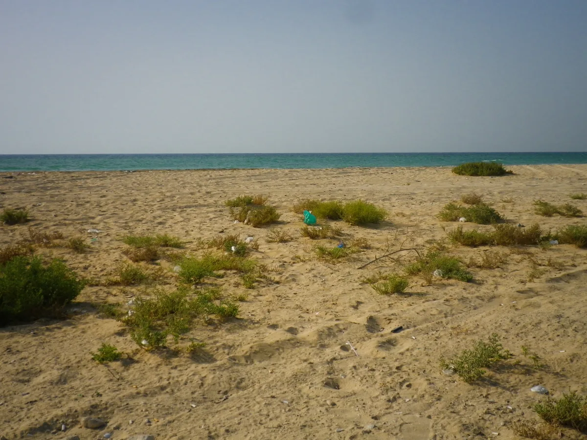 مواقيت الصلاة في أم القيوين اليوم